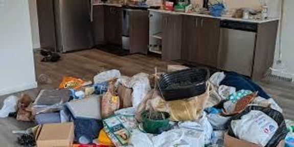 Home Clean out