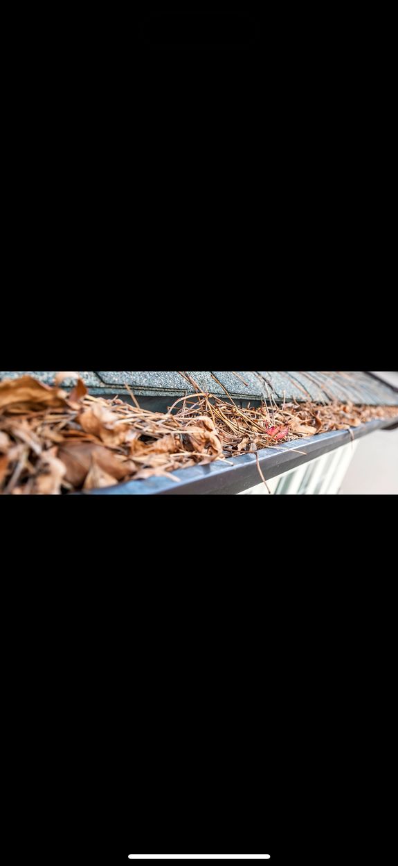 Professional Gutter Cleaning That Protects Your Home