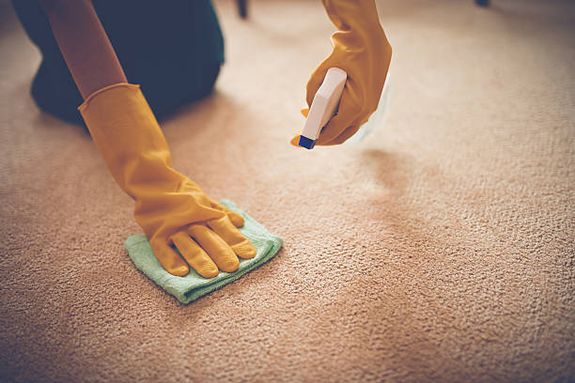 A woman with curly hair wipes a wooden table in a cozy home setting, focusing on hygiene and cleanliness.