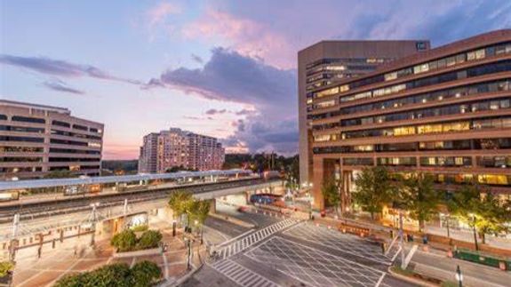 silver corded microphone in shallow focus photography