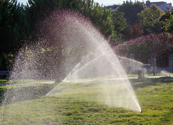 Irrigation System Audits