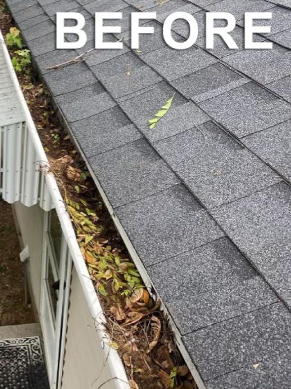 Gutter and Eaves Cleaning