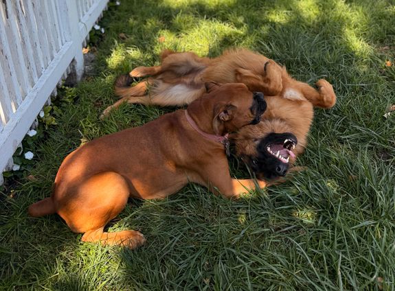 Consistent Quality of Care