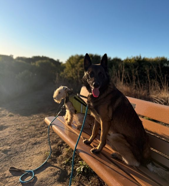 Tailored Training Programs