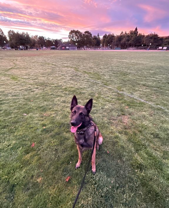 Trustworthy Drop-in Visits