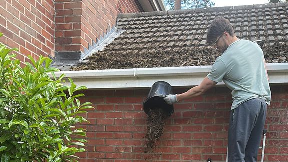 Gutter Cleaning
