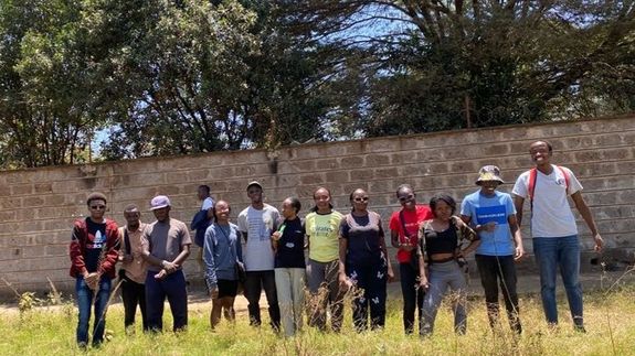 Dog on Concrete Road