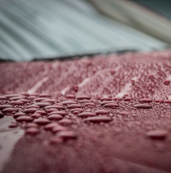 All Serivices from Ceramic Coating Package