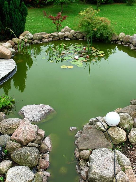 Koi Pond Install 