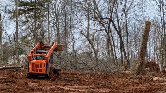 Leave the Mess to Us, Gulf Shores.