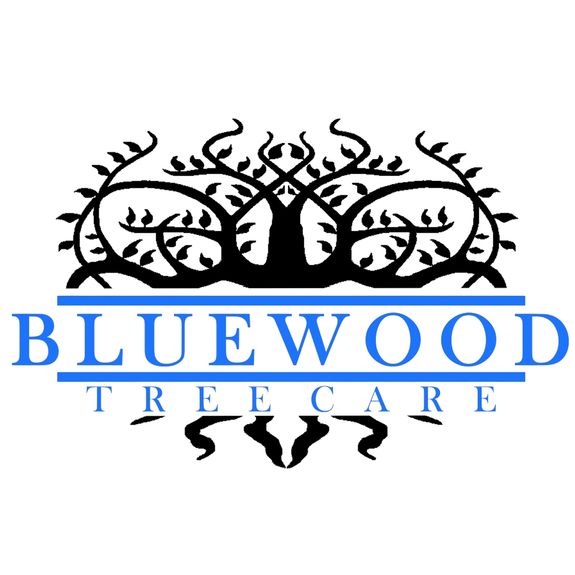 Man Cutting the Tree Using a Chainsaw 