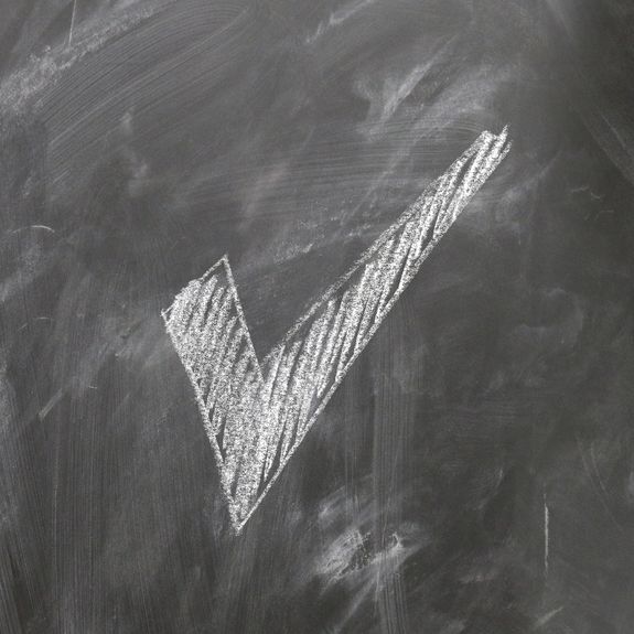 Post-Cleaning Grooming & Final Check