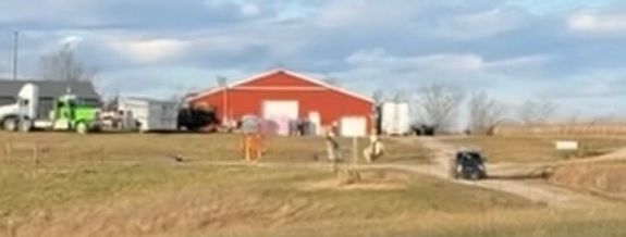 Discover Treasures with Wildfire Auctions