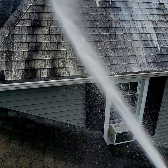 Are your cleaning solutions safe for my plants and pets?