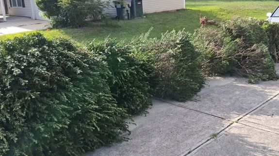 Tidy your yard. Enjoy your space.