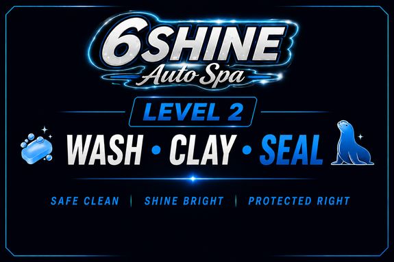  LEVEL 2 — 🧼  WASH • CLAY • SEAL  🦭 