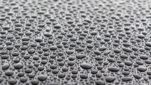 Lasting protection for every surface