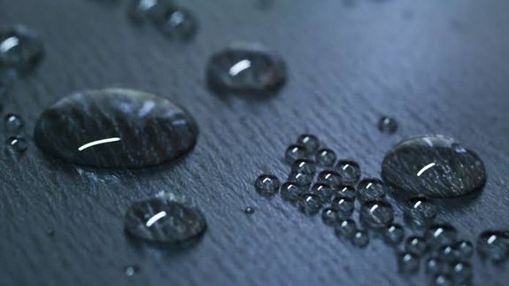 Protect Your Investment. Enjoy the Shine. We Do Both in Brampton.