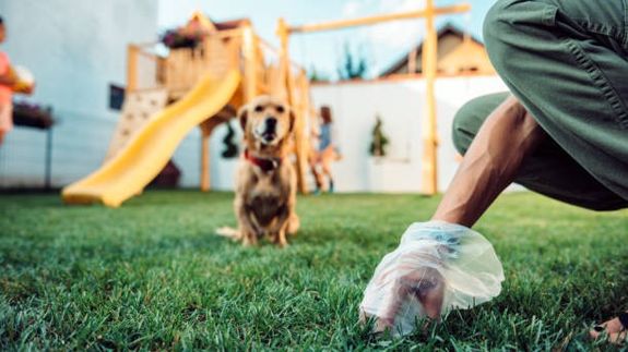 Yard Waste Cleanup