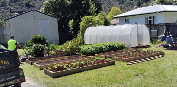 Transform Your Outdoor Space with Ben’s Lawn Care in Wellington