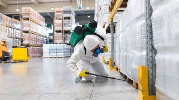Say Goodbye to Unwanted Pests in Stellenbosch.