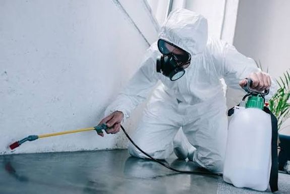 Pest Control