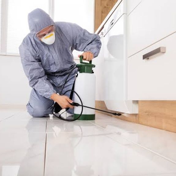 General Pest Inspection — From R450