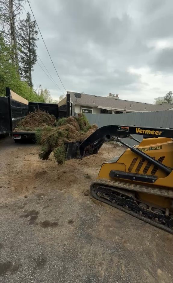 Yard Waste Removal