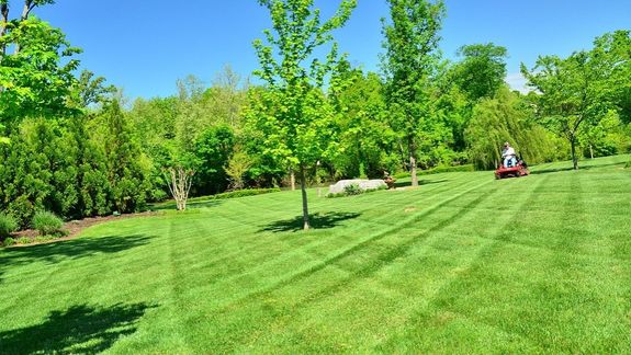 Lawn Care That Will Transform Your Yard