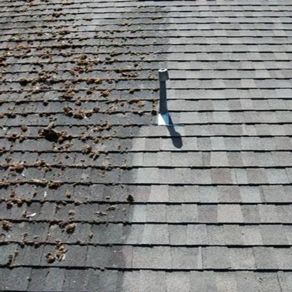 Roof Cleaning