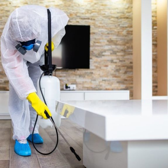 Home disinfectant cleaning
