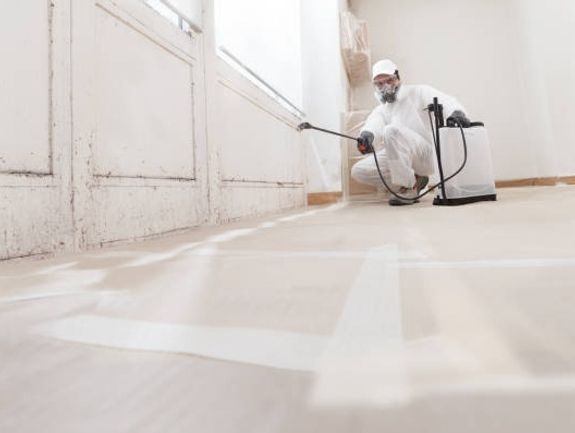 Mould Removal and Treatment