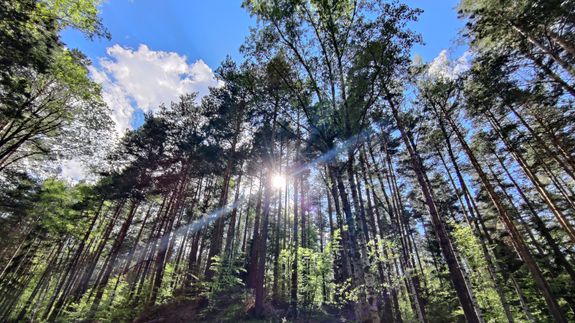 Two women offering support through gentle hand holding on a red couch.