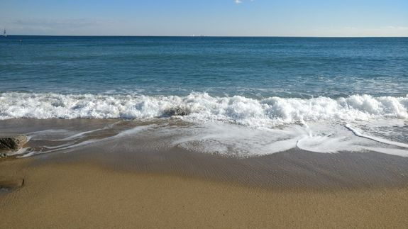 Photo Of Woman Standing On Sunflower Field