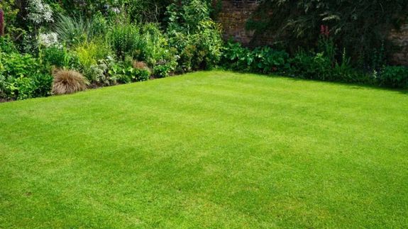 Lush Lawns Made Effortless in Memphis.