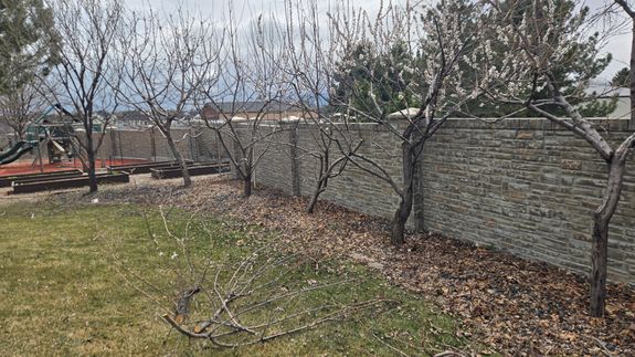 Nourishment and root boosters that are Effective in Utah