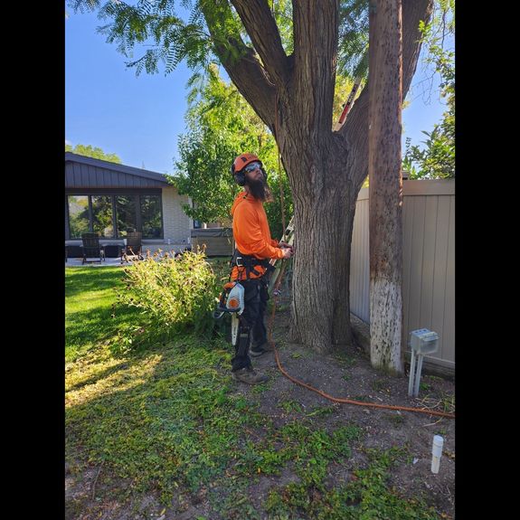 Trustworthy Tree Care