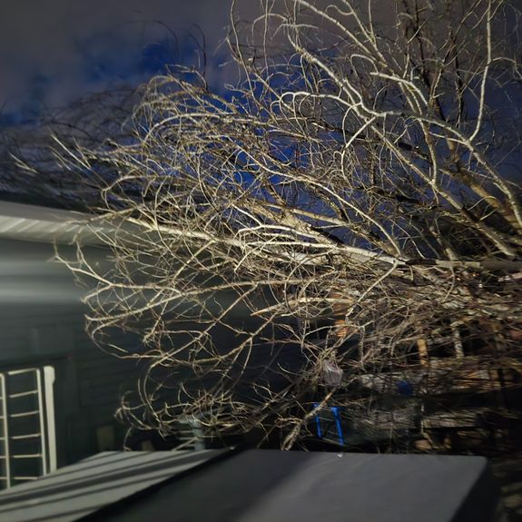 Emergency service and damage control