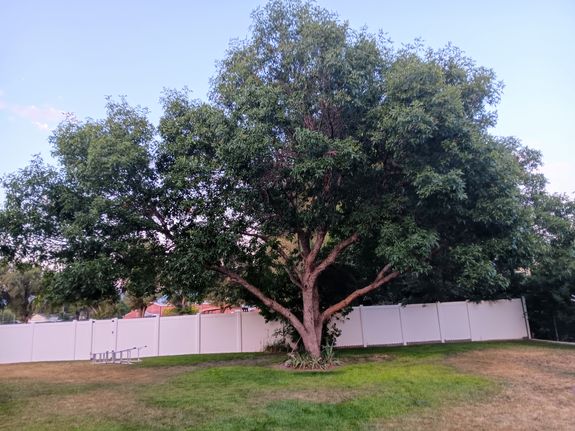 Local Knowledge, Personal Touch