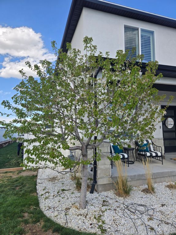 Commitment to Sustainability