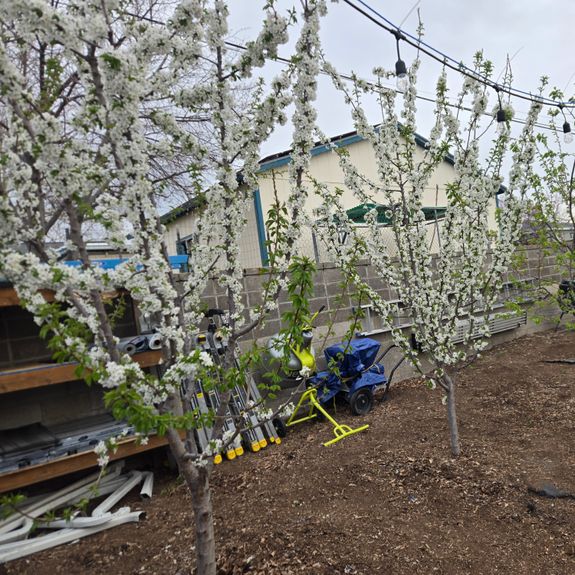 What is precision pruning and why is it important?
