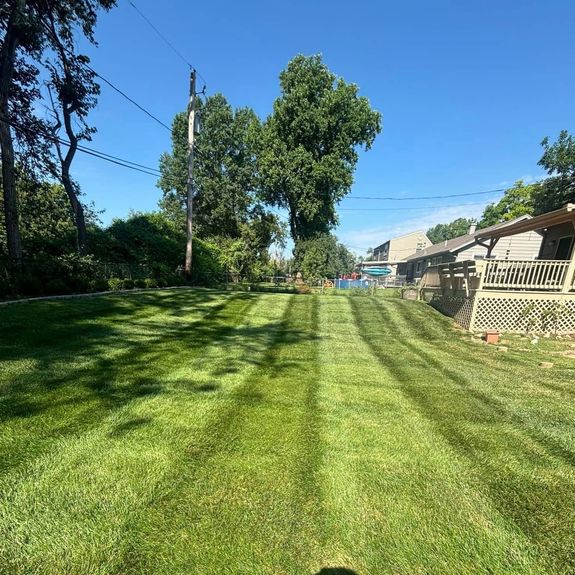 What does your spring clean-up service include?