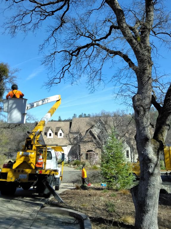 Community-Focused Care