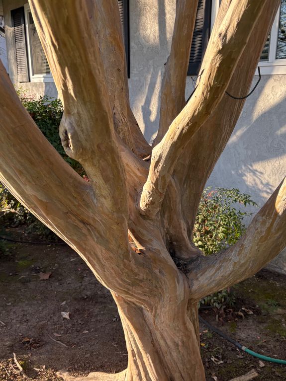 Personalized Customer Experience