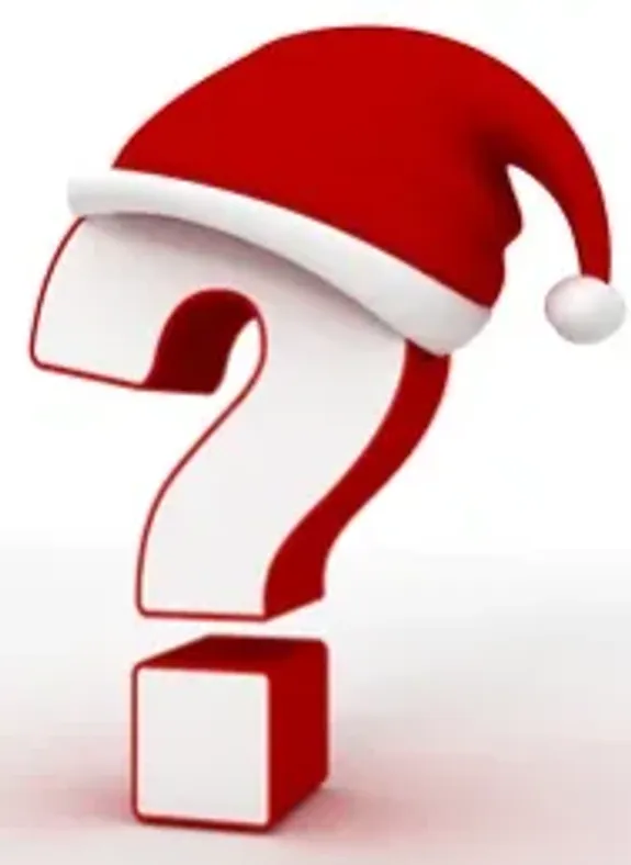 Can you customize the Santa experience for our company’s theme?