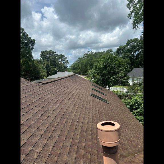 Roof Washing Services