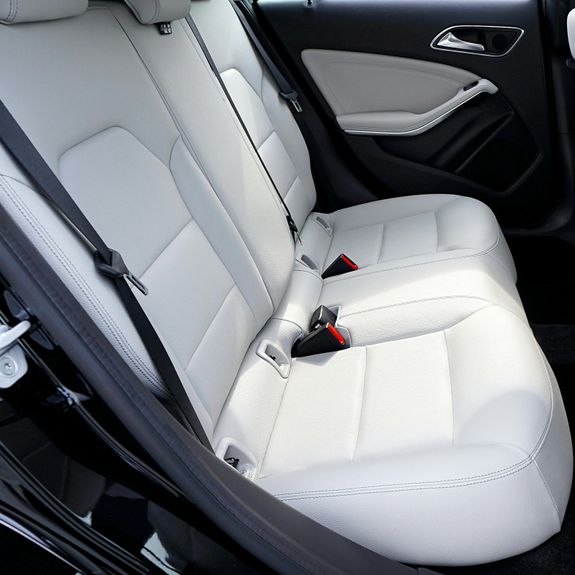 Pet Hair / Pet Mess Removal