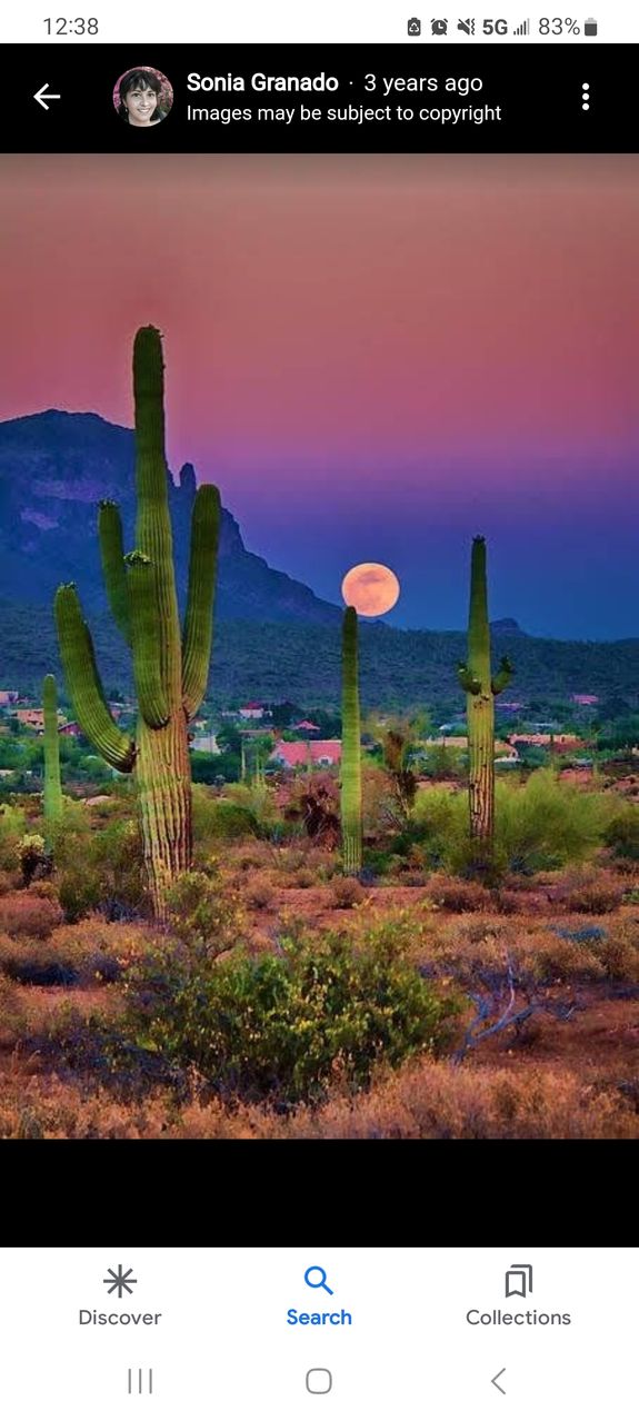 open sign hanging on physical storefront