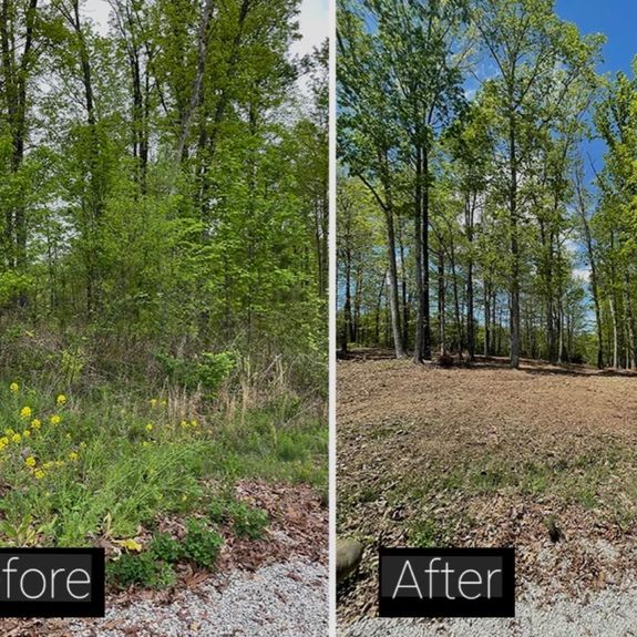 Comprehensive Services