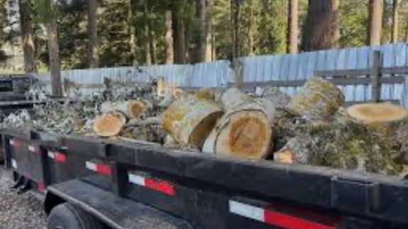 Finally, an Efficient Hauling Service That Delivers  in central & parts of south Florida.